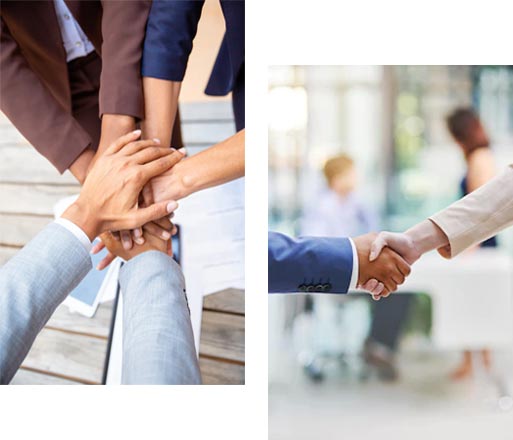 Yeşil Kart Turkey Ekibi